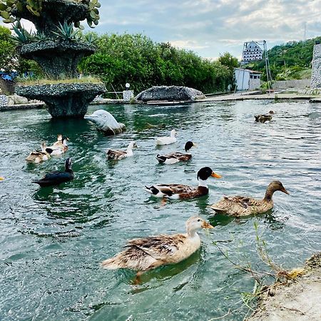 Kompleksi Turistik Dea Mjede Buitenkant foto