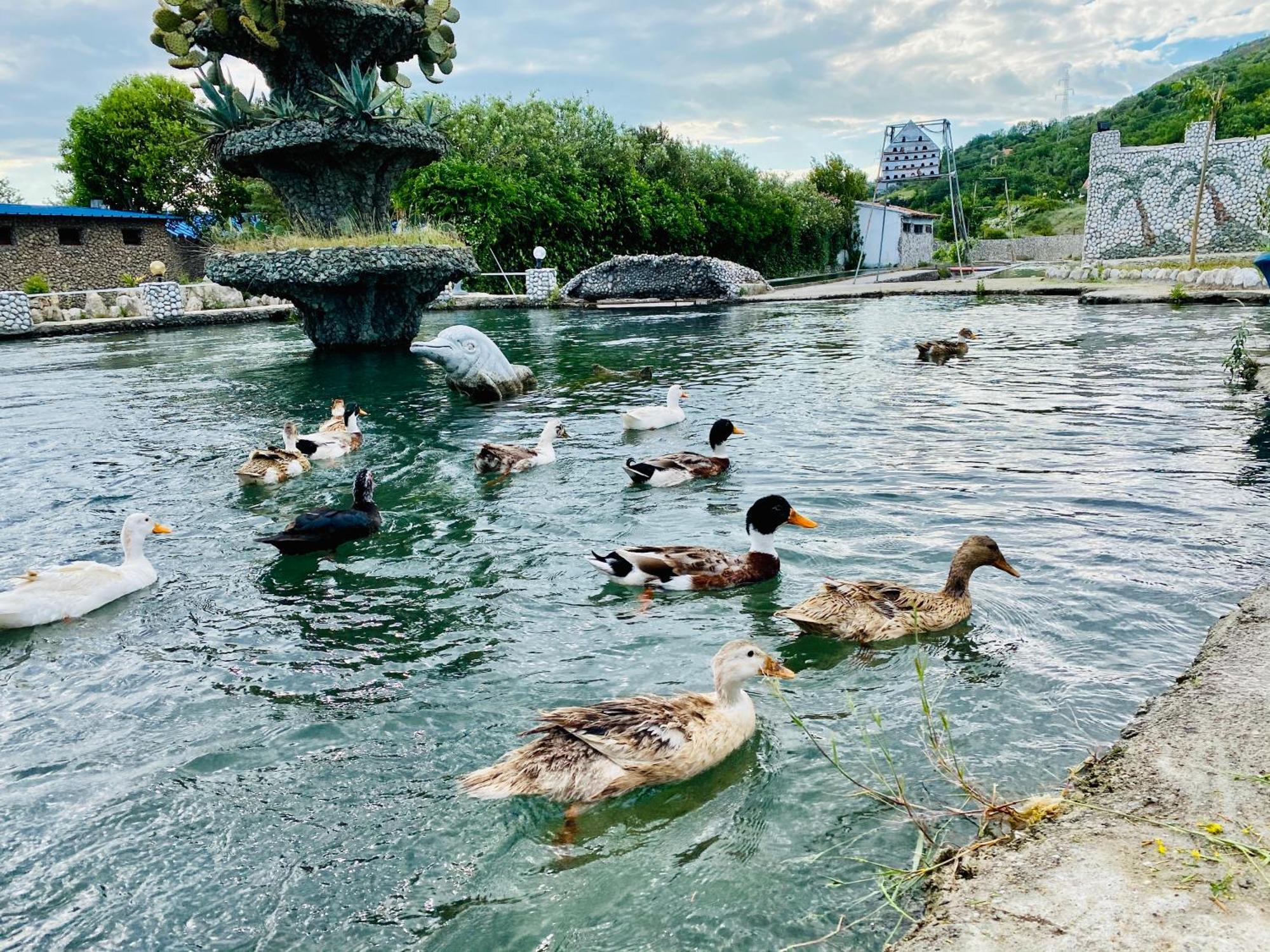 Kompleksi Turistik Dea Mjede Buitenkant foto