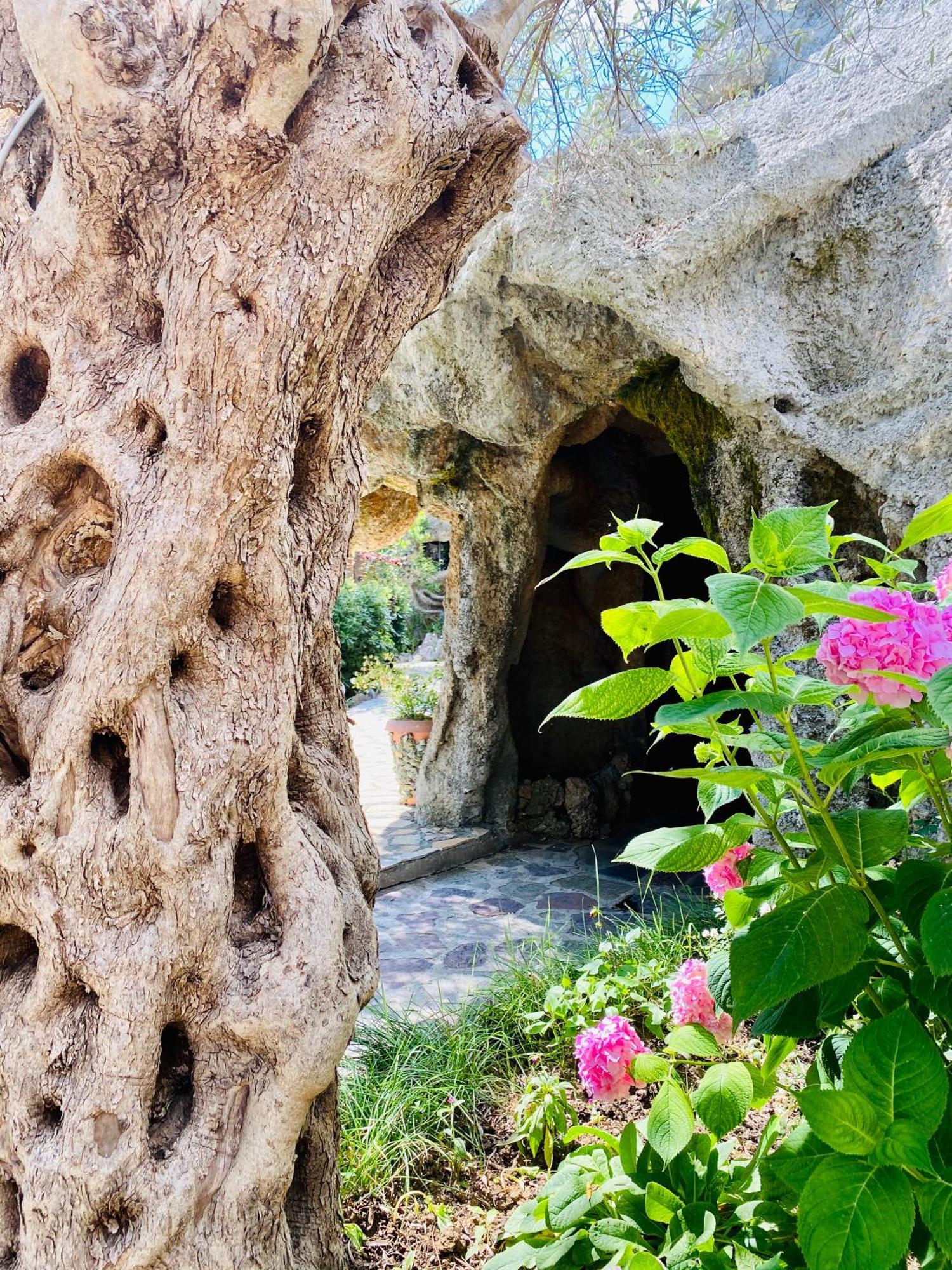 Kompleksi Turistik Dea Mjede Buitenkant foto